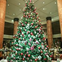 ツリーきれいです！