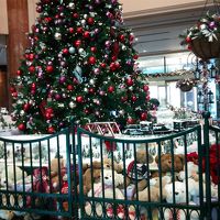 くまかわいい！！！