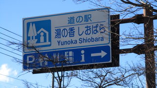 大根がいっぱい売っていました。塩原高原大根です。