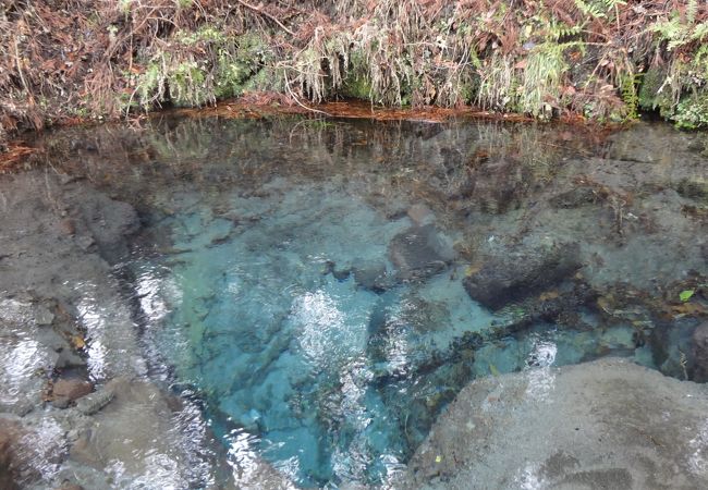 口コミに書きたくない～お気に入りの名水