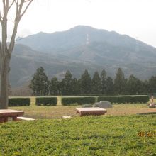 建物の裏側に小さな公園があり眺めが良いです