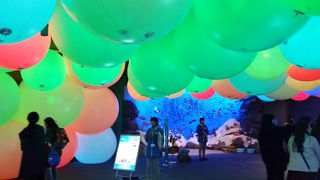 コンパクトにまとまったいい水族館