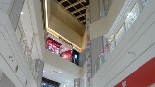 しばしば見かけるようになりました