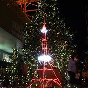 東京タワーの展望台からの夜景鑑賞の後は地上のイルミネーションを楽しめました