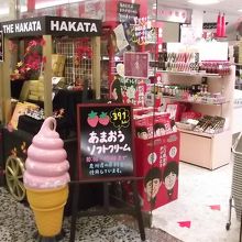 右前方から見たところ