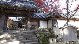 色づく前に落葉する紅葉が多かった