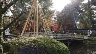 花は無かったけど…