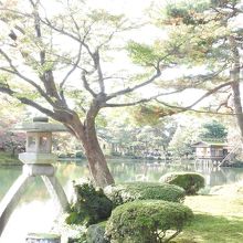 素敵な池ですね