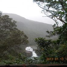 展望台から臨む滝