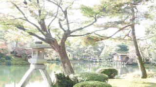 写真に良くのってるところ