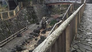 【音無親水公園】お散歩コース