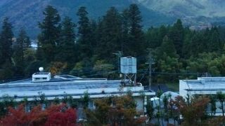 紅葉の時も綺麗でした