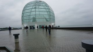 【葛西】 葛西臨海水族館のマグロの水槽は狭かった！