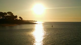 ヨチヨチ歩くペンギンがキュートです