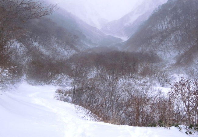 ハイキングコース、、、は無雪期の話