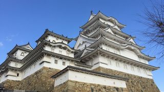 外から眺めるのがいいと思います