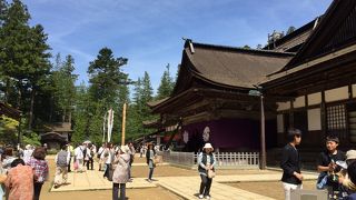 中庭の風景が見事