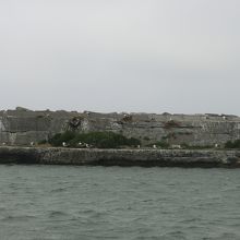 抜海港アザラシ観察所がある港