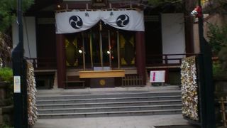 樹齢千年のご神木の大きなイチョウ