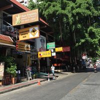 バニラの20〜30m先に入り口があります