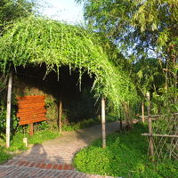 通路は植物のアーチでした