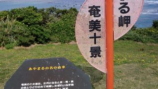 見晴らしはよかったです