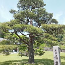 お天気も良く最高でした