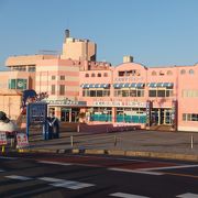 犬吠崎のすぐ近くの水族館です。