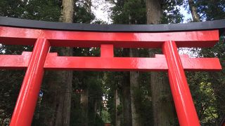 パワースポットらしいので。