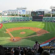 韓国野球の聖地！