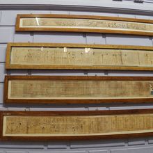 階段の踊り場に展示されていたパピルス