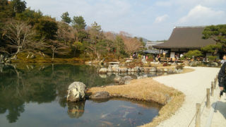 外国人観光客多いです。