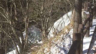 初めて、行ってみましたが…。