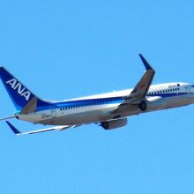 全日空のターミナルはこっち。