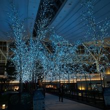 キレイな空港。