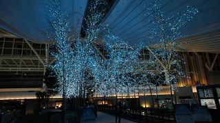 超キレイな空港。