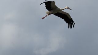 幸せになれる公園！