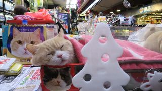 クリーム兄貴！