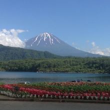 路線バスからの風景