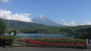 河口湖駅から河口湖へ