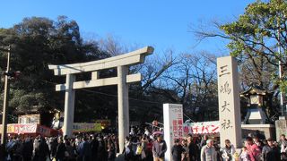 動かない行列（元日）