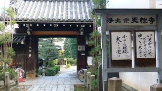 本能寺と合わせて参拝しましょう