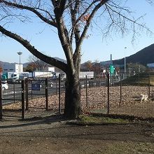 ＳＡ内の入口に近いスマートインターの隣にあります