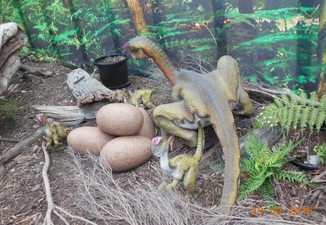 バタフライ クリーク