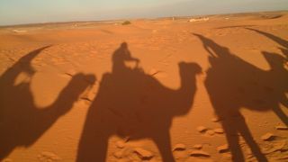 砂漠とラクダと朝日