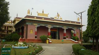 マハーボディ寺院の近く