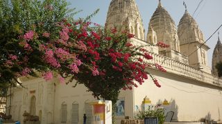 ジャイナ教の寺院