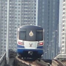 中国製車両は、輸入数が４８両と数量が少なく、あまり見かけませ