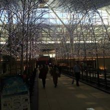 イルミネーション