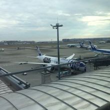 ANAの特別塗装機も。